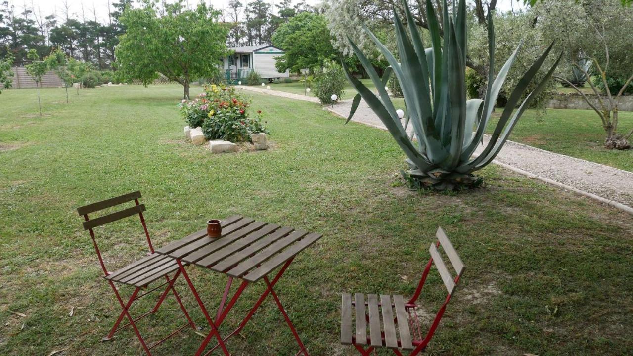 Apartamento Mas Maurane - Le Bougainvillier Aux Portes D'Arles Tarascón Exterior foto